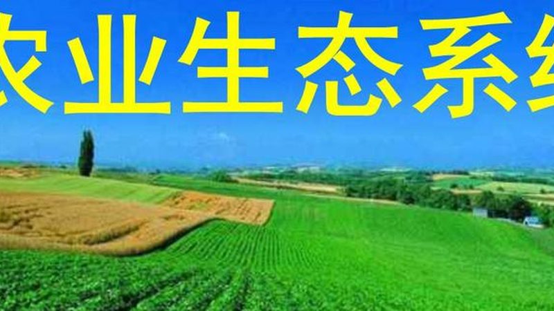 2025年设施农业补贴：各省份政策对比解析