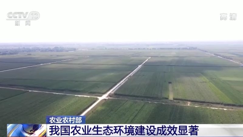 农产品批发供应链管理规范加盟，如何打造高效流通体系？**