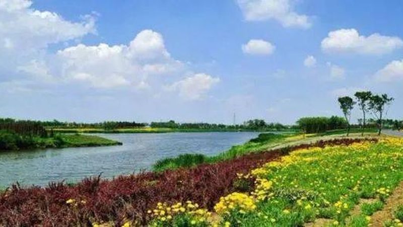 农业产业园规划设计：从蓝图到丰收的步骤解析**