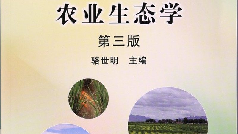上海有机蔬菜配送，周末也能享受健康美味