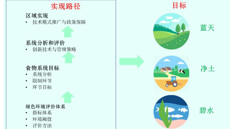 休闲观光农业产业园规划：从“看风景”到“卖体验”的升级逻辑