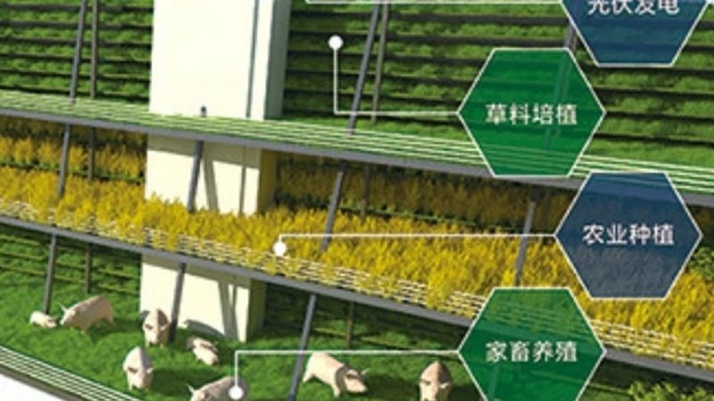 玻璃连栋温室：揭秘其每平米造价背后的秘密