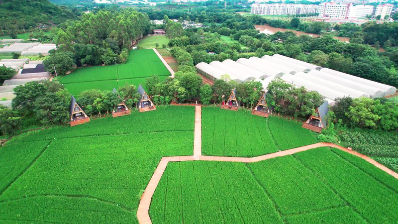 行业背景：从“最后一公里”到“最后一百米