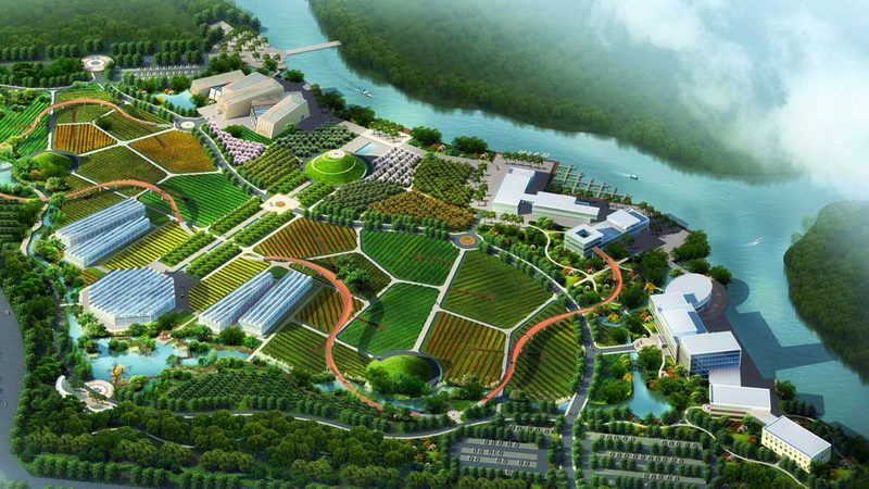 农业产业园种植品种批发价格：如何精准把握市场脉搏**