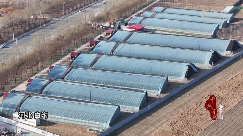 农产品配送合同范本定制：保障供应链稳定的关键**