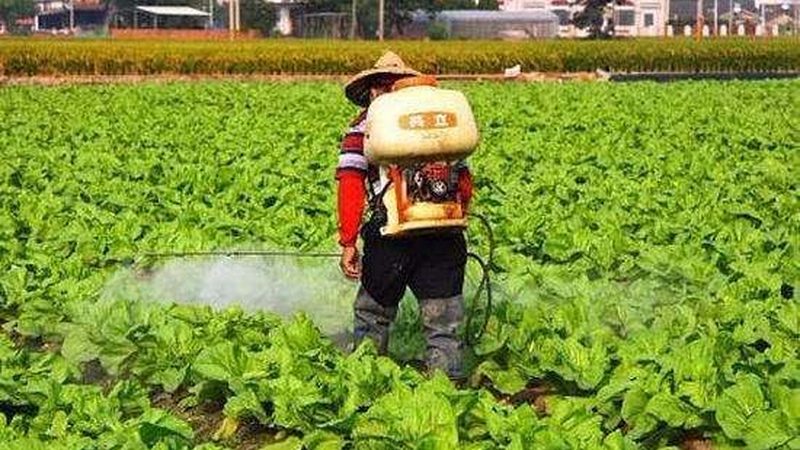 苏州农业产业园规划标准：打造绿色高效农业的未来蓝图