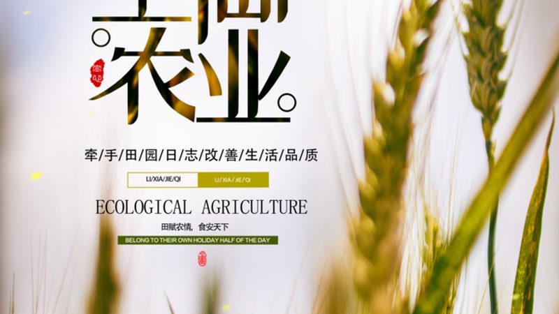 成都周边农业产业园如何挑选？关键要素揭秘